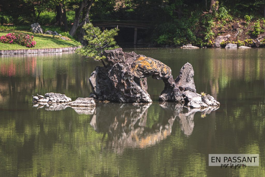 arbre dans le lac au japon